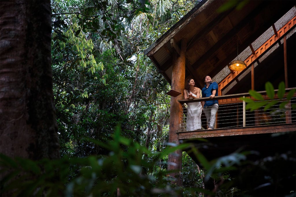 canopy treehouses atherton tablelands