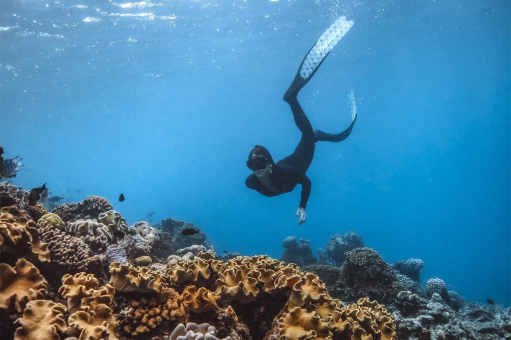 Summer Snorkel on the Great Barrier Reef