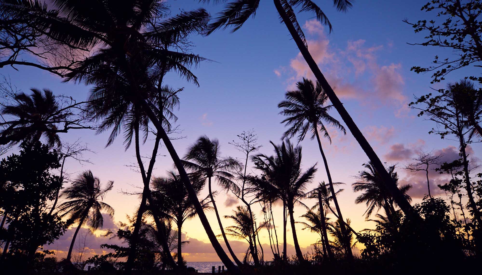 sunset mission beach