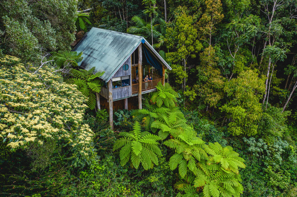 rose gums wilderness retreat
