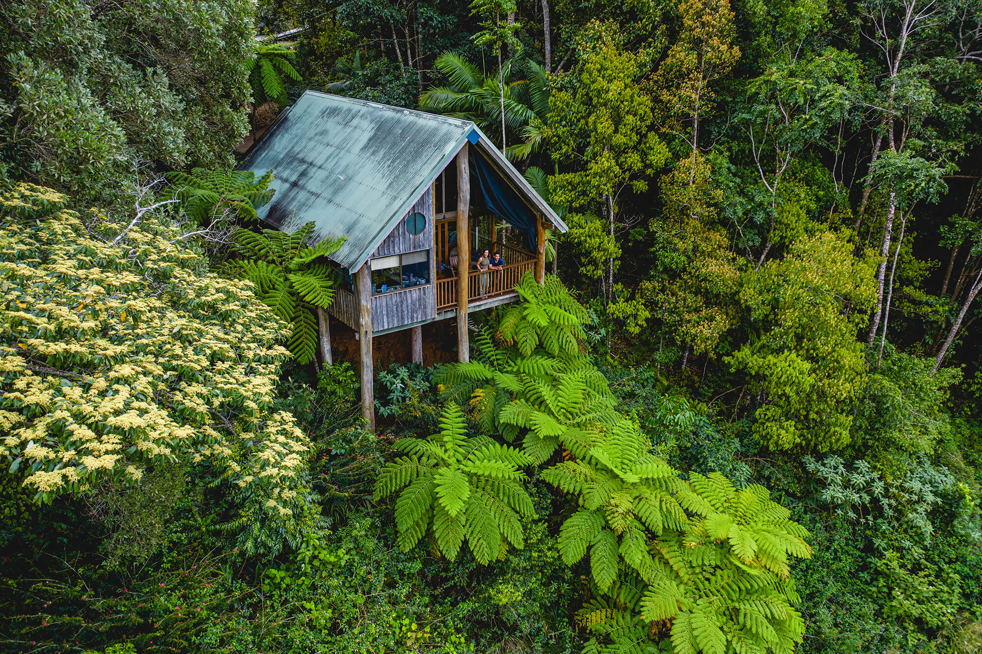 rose gums wilderness retreat