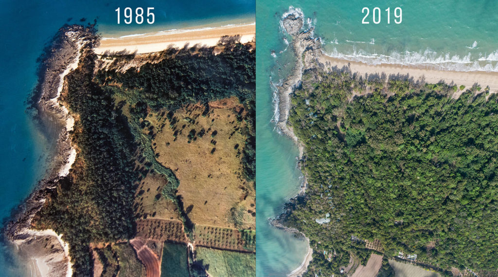 Thala Beach comparison 2985-2019