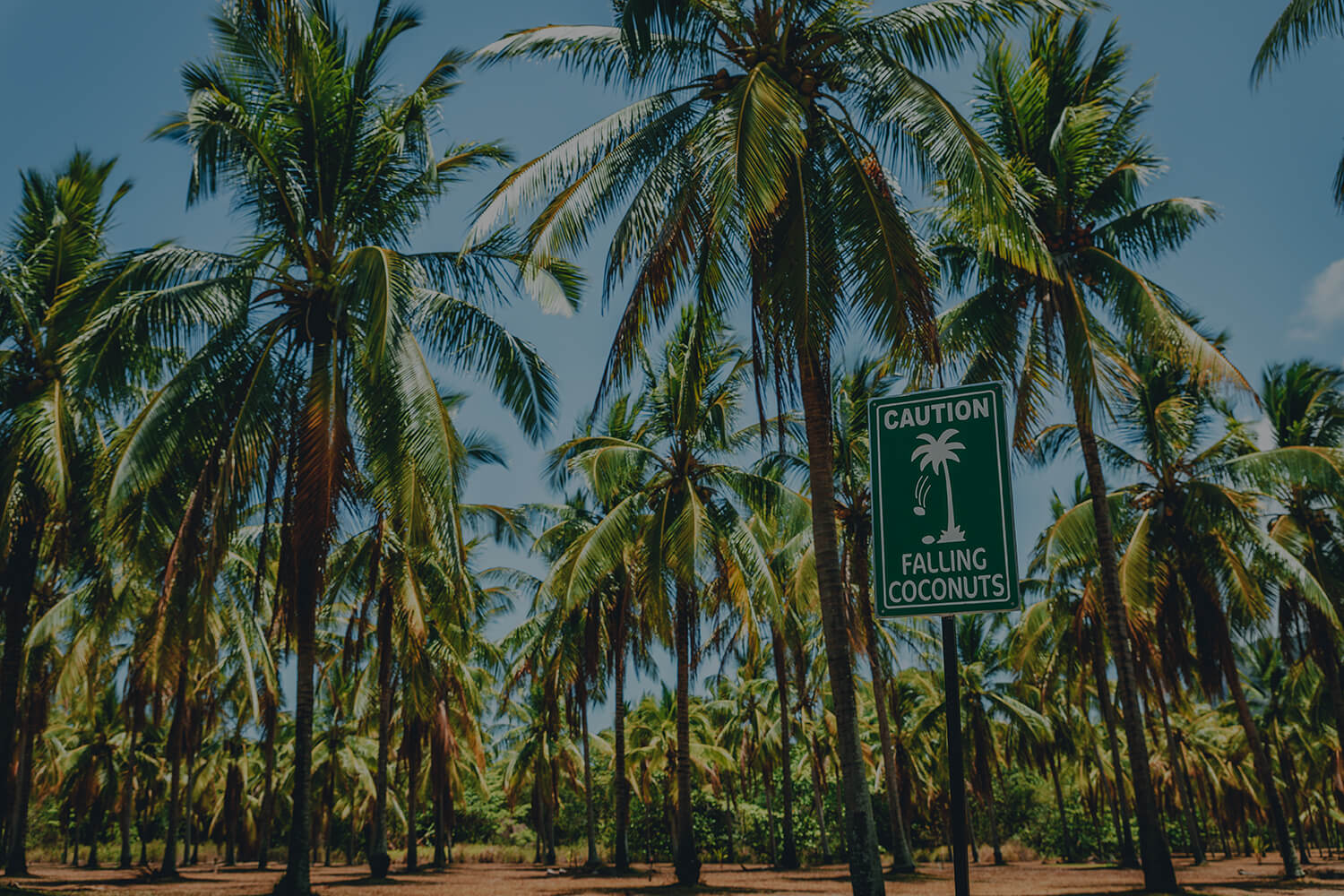 thala beach cta banner