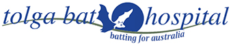 tolga bat hospital