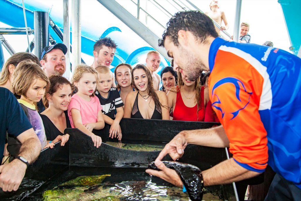 marine biologist on sunlover reef cruises