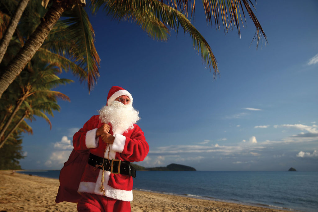 tropical santa palm cove beach