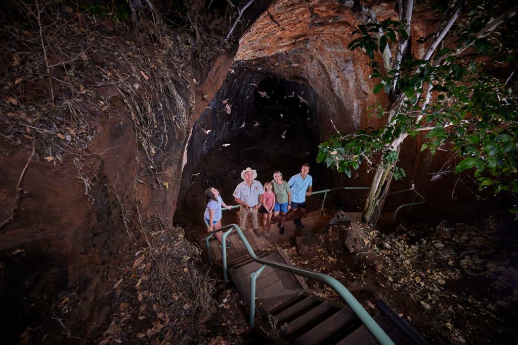 Family watching bats flying out of lava tube at Wildlife at Sunset tour at Undara Experience