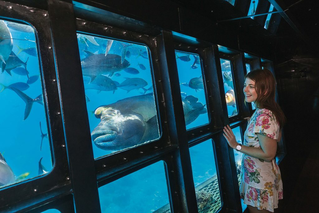 Underwater Observatory at Sunlover's Moore Reef Pontoon
