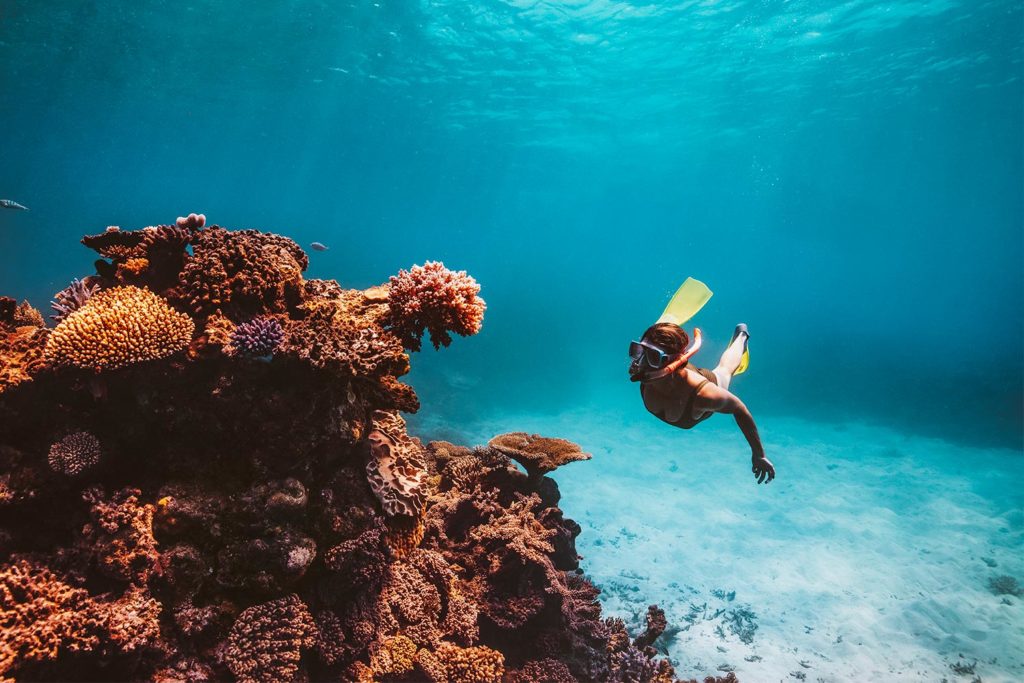 Adventure Activities Cairns & Great Barrier Reef