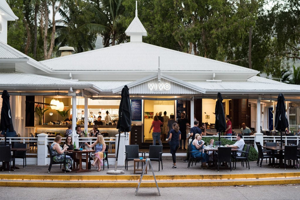 vivo palm cove