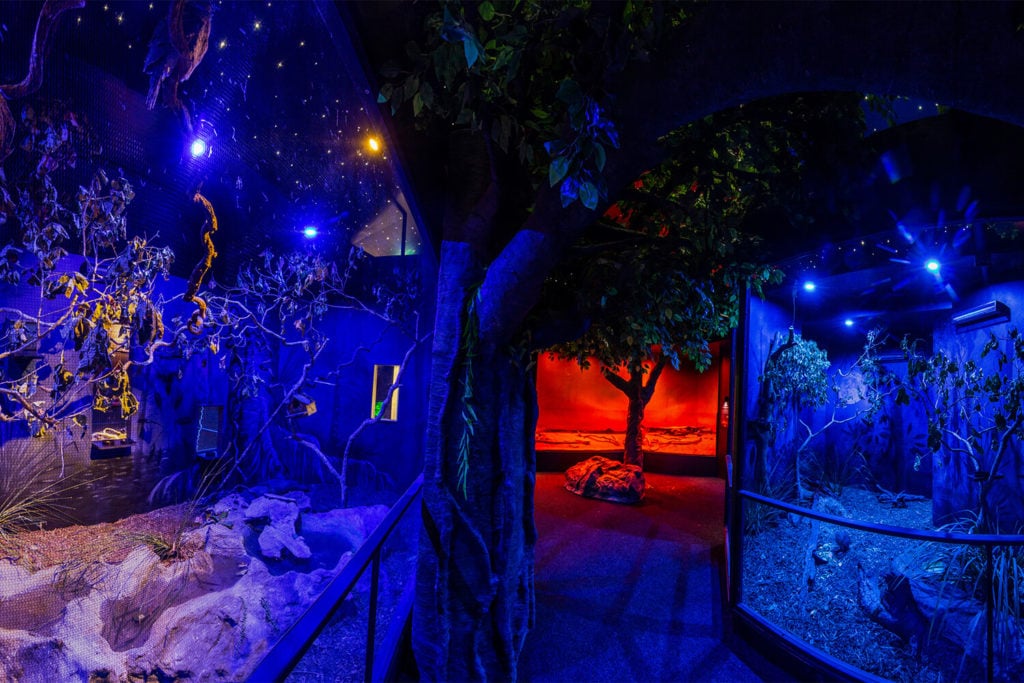 Wildlife Habitat Nocturnal Habitat