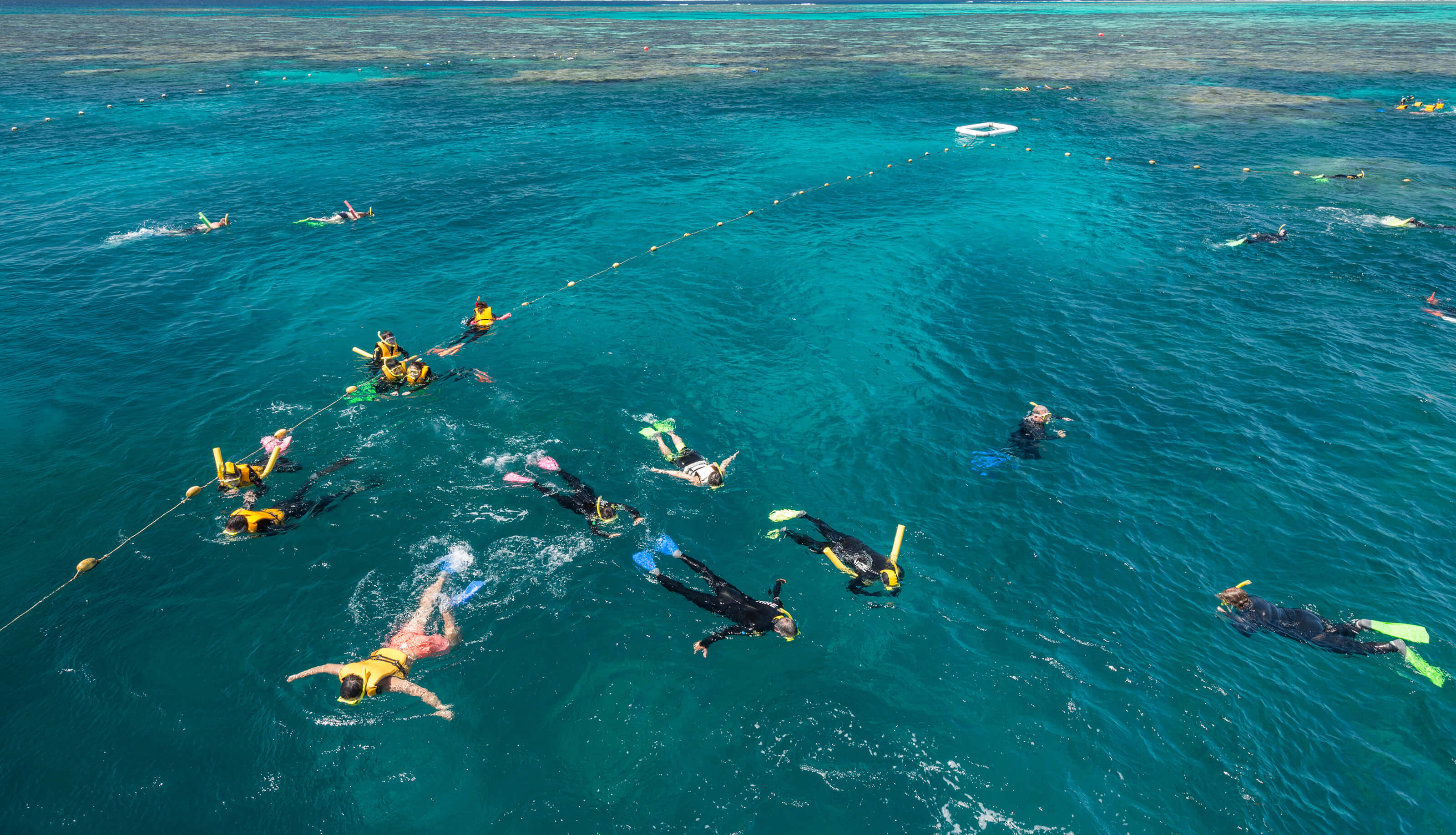 Swimming with Stinger Suits