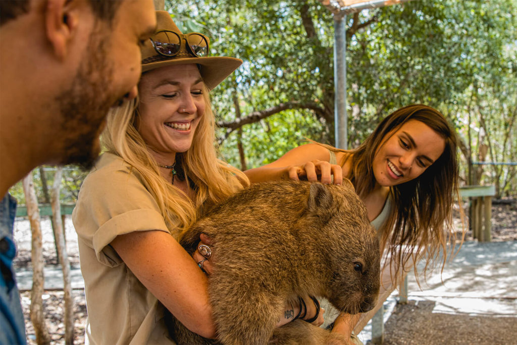 wombat hartleys crocodile adventures