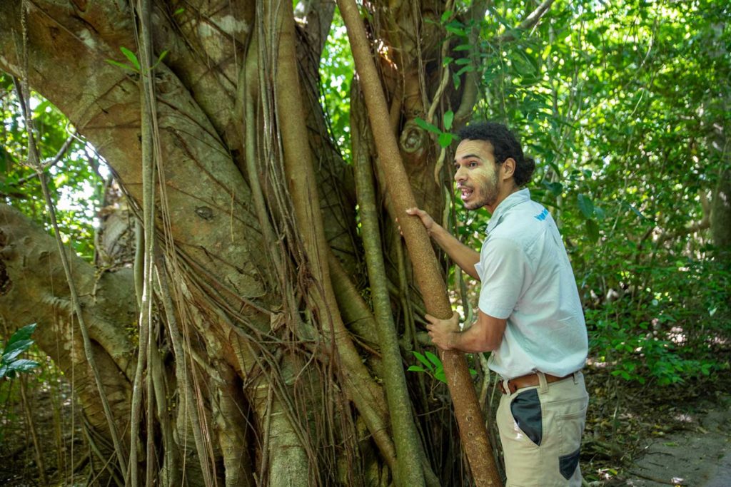 wunyami walking tour green island