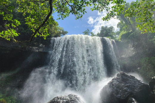 Zillie Falls, Atherton Tablelands